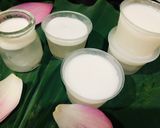 Hình bước làm 5 của món Thạch rau câu dừa