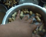 गरमागरम वाफवलेल्या भुईमुगाच्या शेंगा (boiled peanuts recipe in marathi) रेसिपी स्टेप 1 फोटो 
