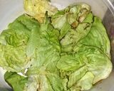 Foto del paso 3 de la receta: Pascualiteé