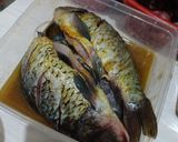 Foto langkah ke 1 dari resep Ikan Mas (Tombro) Bumbu Rica-Rica.