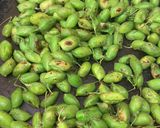 A picture of step 4 of Holay (Green chickpea).