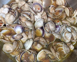 Foto del paso 3 de la receta: Filete de lubina en salsa de chirlas