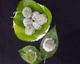પાન લાડુ (Paan Ladoo Recipe In Gujarati) રેસીપી સ્ટેપ5ફોટો