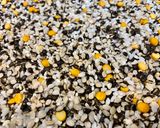 A picture of step 1 of Gunpowder Squash.