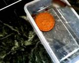 Italian triamsu dessert recipe step 4 photo