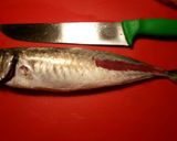 Foto del paso 1 de la receta Lomos de jurel, rellenos de gambas en salsa con un toque mejicano