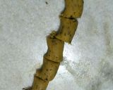A picture of step 6 of Gatta Mathri.