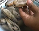 Gambar langkah 1 resipi Mentarang Masak Telur.
