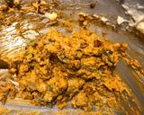 A picture of step 5 of Spicy Chorizo Twice Baked Potatoes.