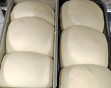 Foto del paso 9 de la receta: Pan de leche japonés - Hokkaido