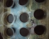 Foto langkah ke 7 dari resep Brownies Mini Cup (Ide jualan).