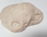 Foto del paso 4 de la receta: Masa integral para pizza en panificadora