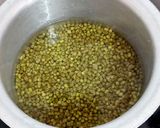 साबुत ग्रीन मूंग दाल खस्ता पूरी(Sabut green moongdaal ki khasta poori recipe in Hindi) रेसिपी चरण 1 फोटो