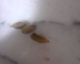 A picture of step 2 of Mithi tikkya.