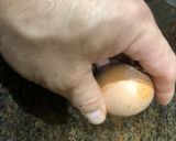 Foto del paso 2 de la receta Ensaladilla rusa