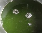 Foto langkah ke 1 dari resep Puding Telur Dinosaurus (Puding Lumut Daun Kelor).