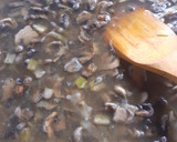 Foto del paso 8 de la receta: Crema de champiñones a la morena