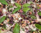 Une image de l'étape 2 de Carpaccio de courgettes, burrata fondante & pesto frais.