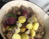 Foto del paso 3 de la receta: Guiso de panita de pollo