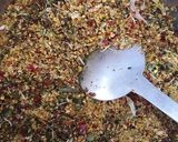 A picture of step 2 of Idly milagai podi(idly gun powder).
