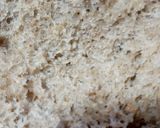 Foto del paso 3 de la receta: Pan integral