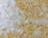 Foto langkah ke 9 dari resep Ebi Furai Curry Creamy Pasta.