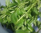 Foto langkah ke 1 dari resep Tongkol Kemangi Pedas.