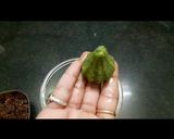 A picture of step 9 of Aayush kadha Modak.