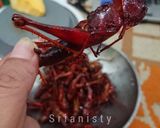 Foto langkah ke 5 dari resep Belalang Bacem kriuukk bySYK.