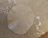 A picture of step 6 of Homemade Potsticker Wrappers and Potstickers.