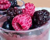 Foto del paso 3 de la receta: Postrecito de frutos rojos y chocolate by Sol ☀ Keto, vegano, sin gluten, sin edulcorante