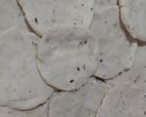 Foto del paso 4 de la receta: Pizzetas a la essen con albahaca