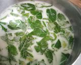 A picture of step 2 of Vickys Fresh Mint Ice Cream, GF DF EF SF NF Vegan.