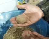 A picture of step 5 of Til Mawa ladoo Sankranti Special.
