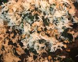 Foto del paso 4 de la receta Arroz con espinacas y piñones con Quick quinoa & rice