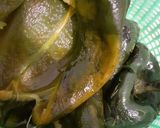 Foto del paso 3 de la receta: Rollo de chile poblano hojaldrado