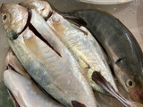Pepes Ikan Kembung