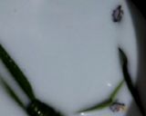 Foto langkah ke 3 dari resep Nasi uduk bunga telang.