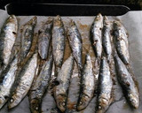 Foto del paso 4 de la receta: Sardinas frescas al horno