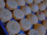 معمول لسميد