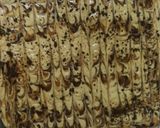 صورة لخطوة 5 من وصفة كيكة النسكافيه الباردة