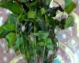নিম বেগুনের ঝোল(neem beguner jhol recipe in Bengali) রেসিপির ধাপ 1 ছবি