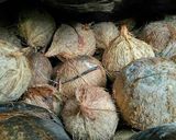 Foto langkah ke 1 dari resep Cara pengolahan patarana (pliek u).