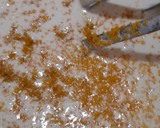 Foto del paso 1 de la receta: Budín con yogur