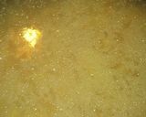 A picture of step 2 of Mexican Mac & Cheese.