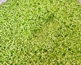 ตะโก้สาคู วิธีทำสูตร 1 รูป