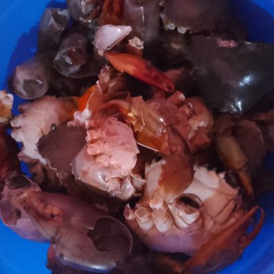 Langkah 1