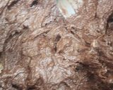 Foto del paso 4 de la receta: Alfajores de chocolate