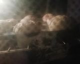 Foto del paso 19 de la receta: Conchas