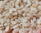 Foto del paso 1 de la receta: Tahini o tahina, pasta de semillas de sésamo 🌱